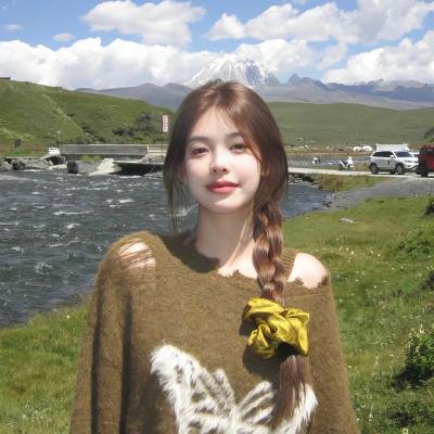 美国之子