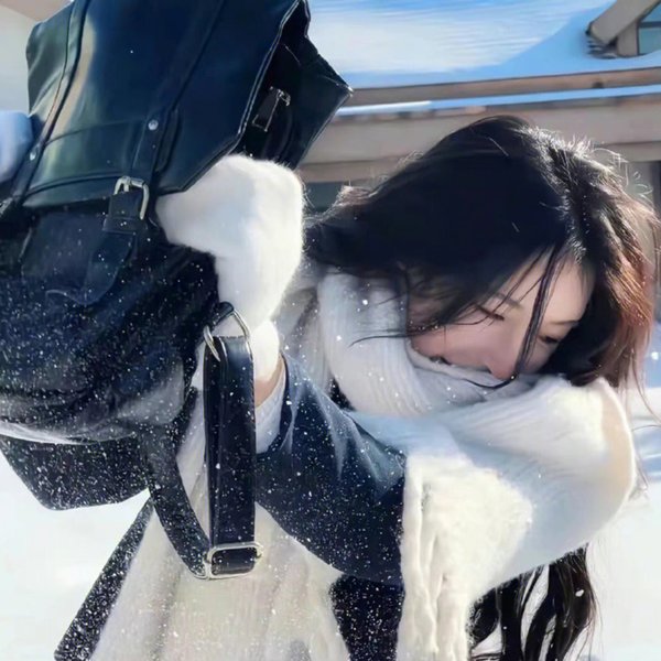 登陆月球
