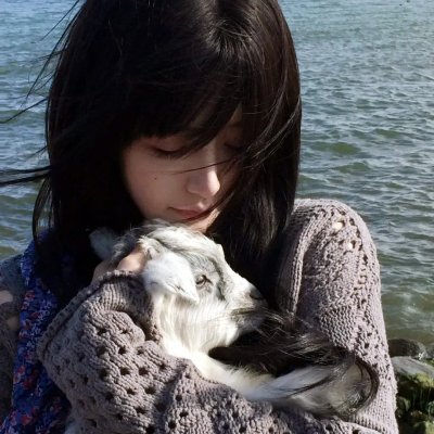 狐狸与猎狗